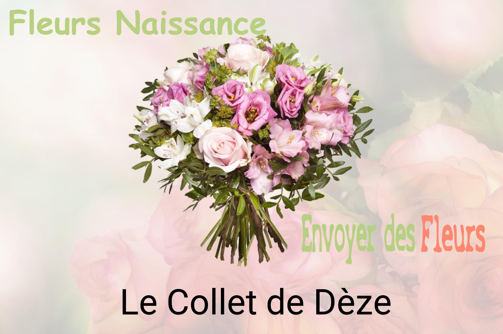 Bouquet de fleurs de naissance livré à Le Collet-de-Dèze