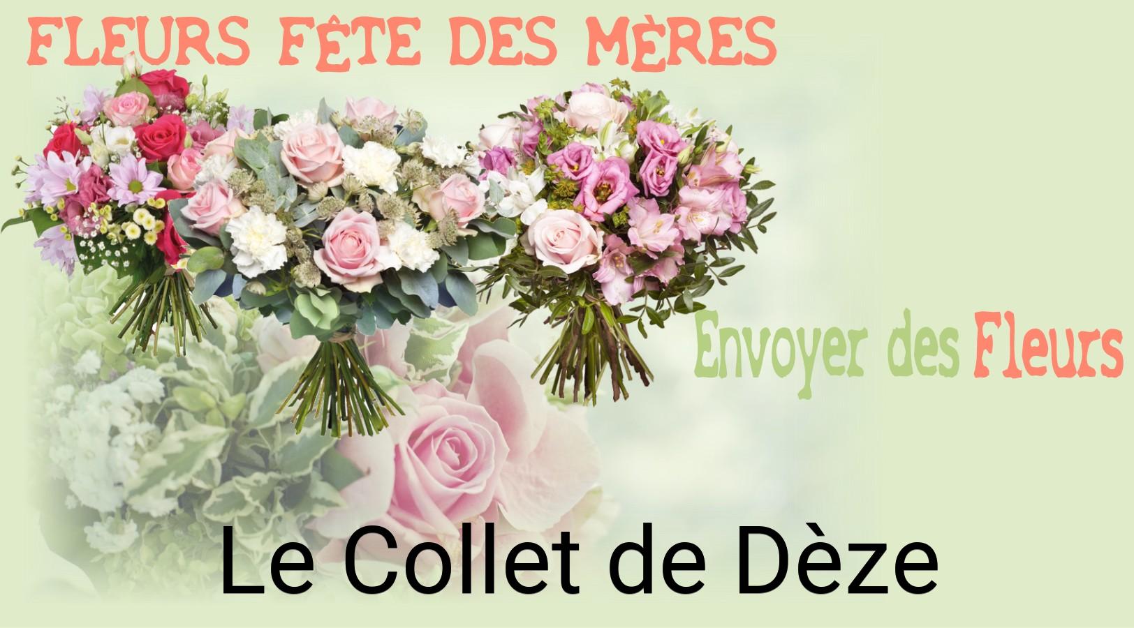 Bouquet de Fête des Mères livré à Le Collet-de-Dèze